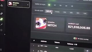 How to play memskoin crypto correctly