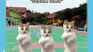 kurang sreg aja gitu