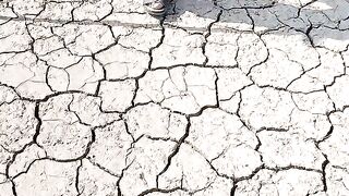 Gold detector machine