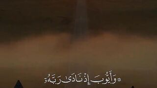 Tilawat e Quran Majeed 55