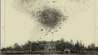 Guillermo Del Toros Cabinet Of Curiosities S01E08 The Murmuring