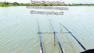Angler punya cerita