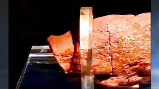 Fosil Kotoran Manusia terbesar dalam sejarah