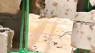 +2347069966756 DEATH SPELL CASTER ONLINE