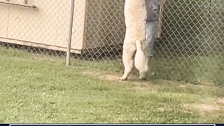 yg dinanti tak kunjung datang