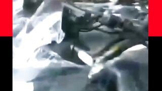 Badan Gizi Nasional (BGN) mengonfirmasi pengadaan sepeda motor listrik