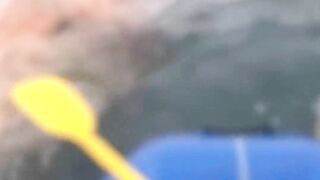 He gets treated like an authority #doglover #dogs #authority #seagull