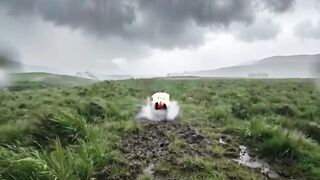 Spongebob House AI Asmr