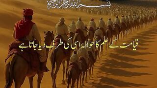 Tilawat e Quran Majeed 56