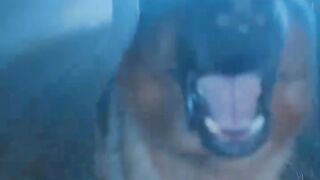 Protected by her adopted brother - part 1