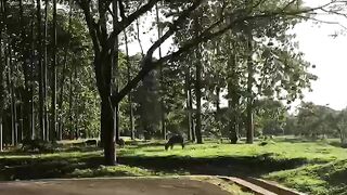 Zoo Pusat Pendidikan Lalu Lintas Polisi