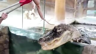 First and last day on the job