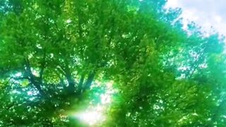 Beautiful nature 289