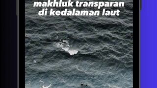 ???????? “Cantik Tapi Menghilang: Misteri Makhluk Transparan Laut Dalam”