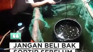 Tonton video ini BARU beli bak sortir