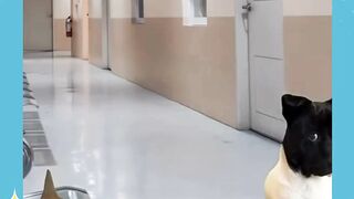 POV:Terlahir kembali pt5