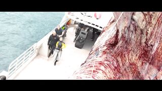 The Meg - We Killed the Meg!