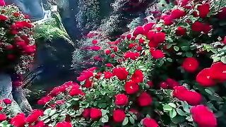 ????️ماھرالمعیقلی????