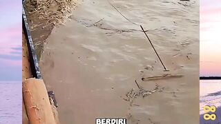 Berburu Kayu yang Hanyut Di Air! versi bola88
