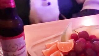 These best friends have special ability to make us laugh #doglovers #bestfriends #funnyreels 3