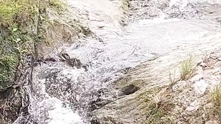 ???????????????? ???????????????? ???????????? ???????????????? ????????????????