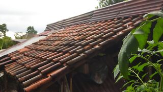 Peaceful Rainy Day in a Tropical Village - Relaxing Nature