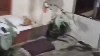 wah bahaya satpam gini