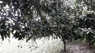 NATURE VIBES????????