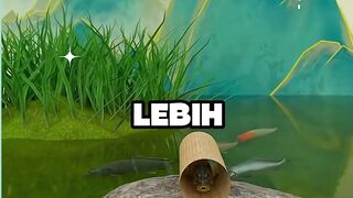 ikan bisa hidup lama di luar air
