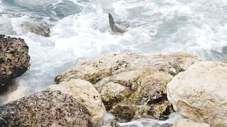 What is this? beautiful sea