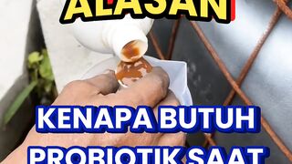 Ini ALASAN kenapa perlu PROBIOTIK saat budidaya lele  #budidayalele #probiomax #tipsbudidaya #ikanlele #kolamlele probiotik