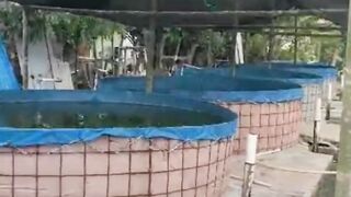 Fungsi ATAP atau PENUTUP kolam