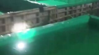 Modal 10rb kolam BOCOR atau REMBES tuntas