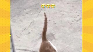 malu ga meng ???????? ?