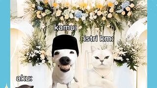 gabole sama yg lain