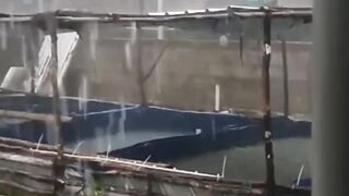Lengah DIKIT ikan lele TEPAR berjamaah❗WASPADALAH disaat seperti ini