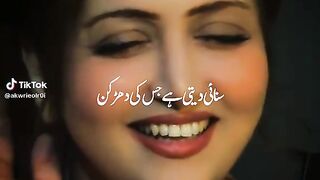 Feel This Song 14
