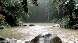 Asmr rain for your sleep, insomnia, moodbooster