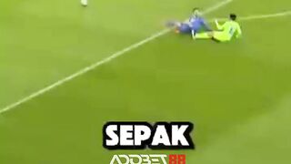 Jangan coba-coba diving depan mereka kalau nggak mau "terbang" sungguhan!