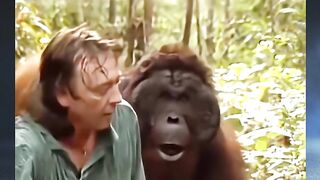 ditahan Orangutan Selama 3 jam