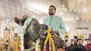 "Royal entry for a royal night