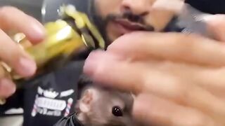 Olha o fade do ratinho ????????