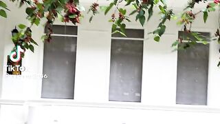 BlackBerry, murbei, mulberry