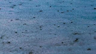 Free Rain Footage Download | High-Quality Rain Video for Editing & Backgrounds