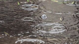 Free Rain Footage Download – Relaxing Water Ripple Rain Drops HD Video