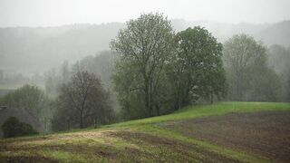 Rainy Countryside Landscape – Free Stock Footage Download | Misty Hills & Green Nature Background