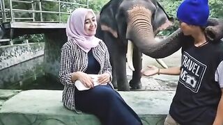 Pemandu Gajah Yang Ramah