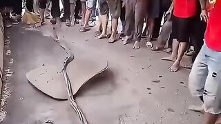 Permainan Lempar Lumpur Asal Vietnam!