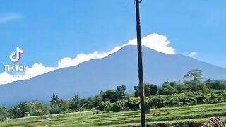 Discover the Beauty of Nature ????✨