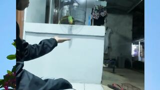 jangan di lepas itu burung bang